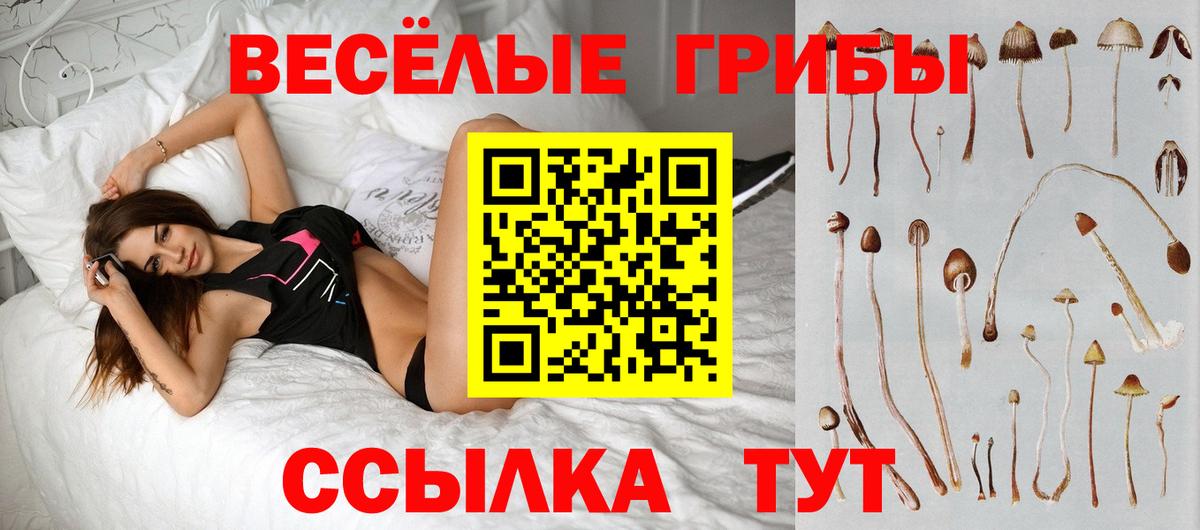 как найти закладки  Галлюциногенные грибы ЛСД  Вход с VPN  Псилоцибиновые грибы прущие грибы  Холмск 
