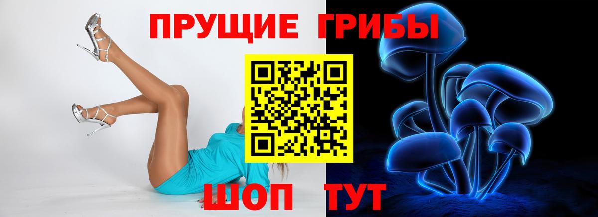 Псилоцибиновые грибы ЛСД Холмск